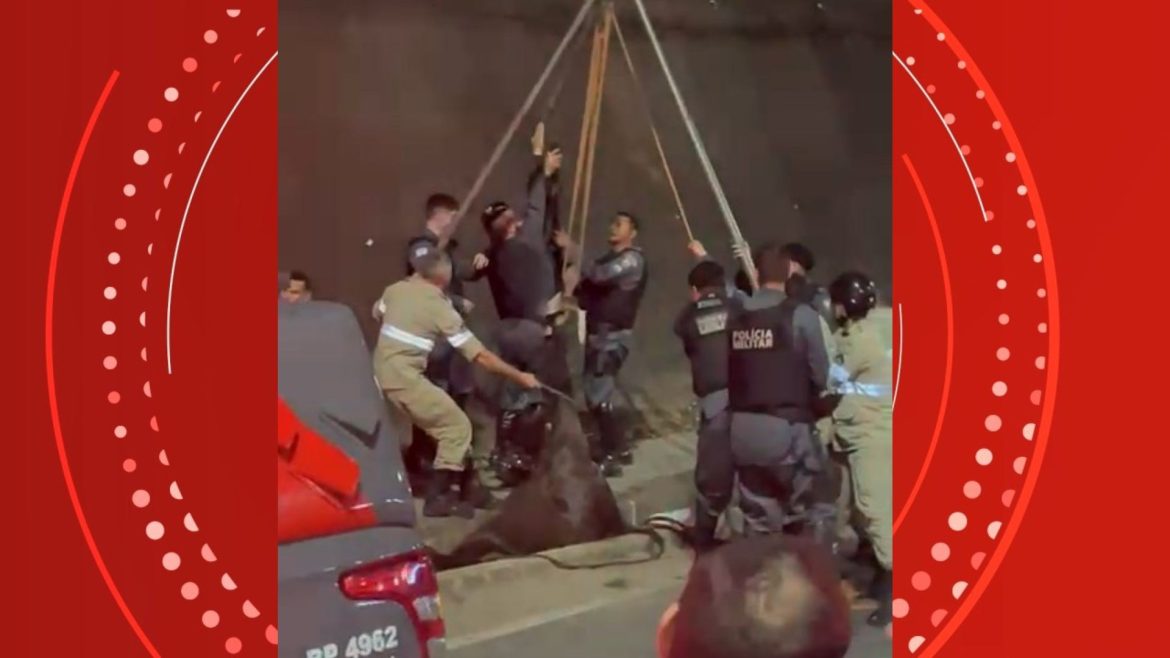 cavalo-da-pm-cai-em-valeta-apos-susto-com-fogos-durante-jogo-do-flamengo-no-es;-veja-video-do-resgate