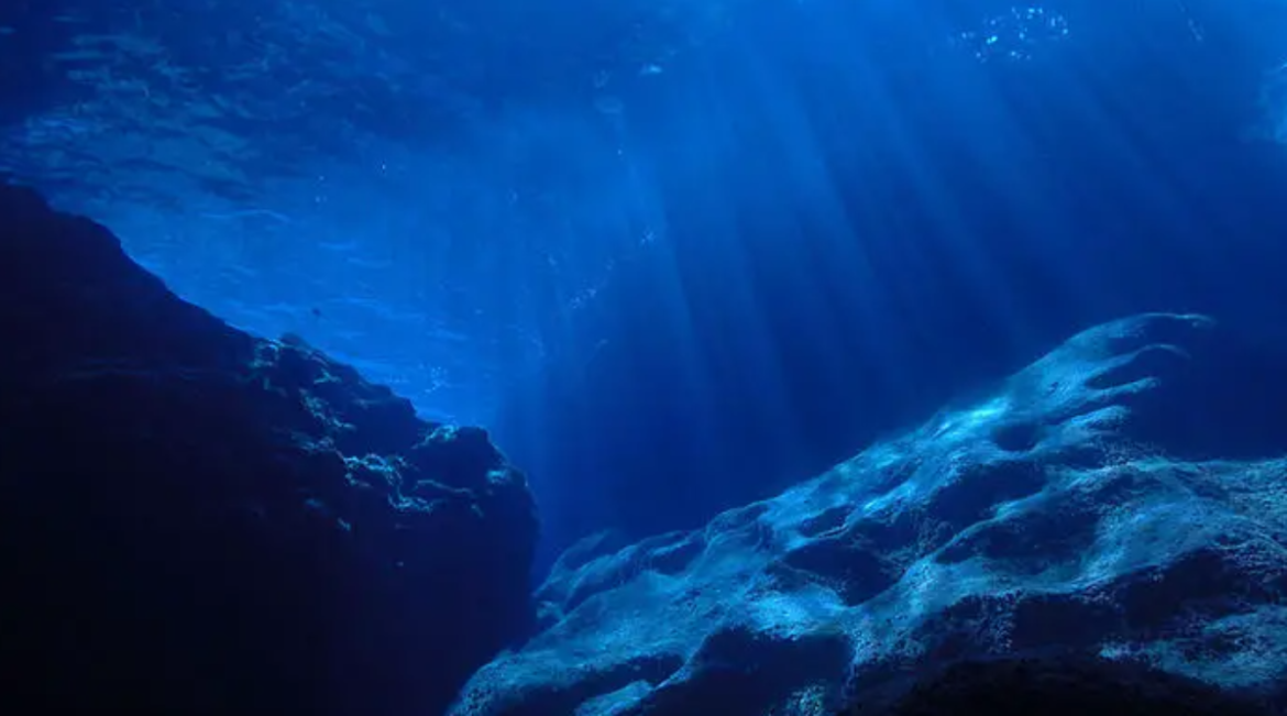 misterio-no-fundo-do-mar:-‘ovo-de-ouro’-intriga-pesquisadores-durante-expedicao-no-alasca