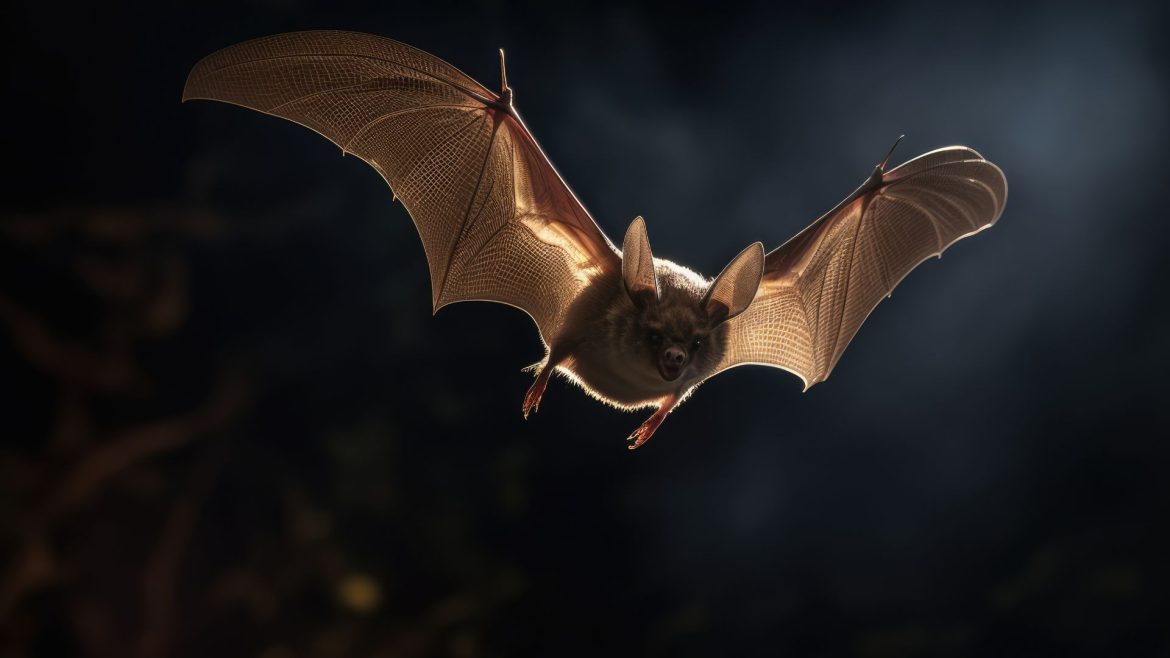 virus-nipah:-o-que-e,-quais-os-sintomas-e-como-ocorre-a-transmissao.