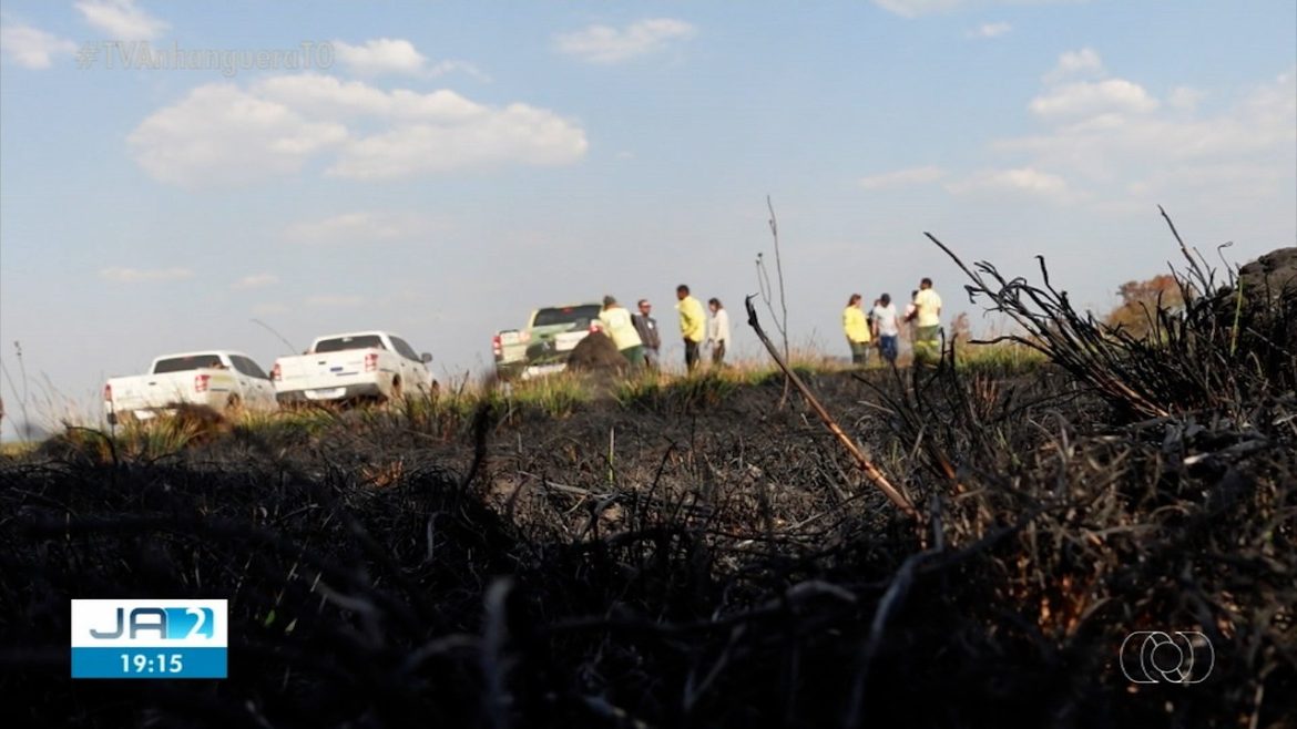 area-de-capim-dourado-destruida-por-incendio-no-jalapao-e-equivalente-a-tres-mil-campos-de-futebol,-diz-naturatins