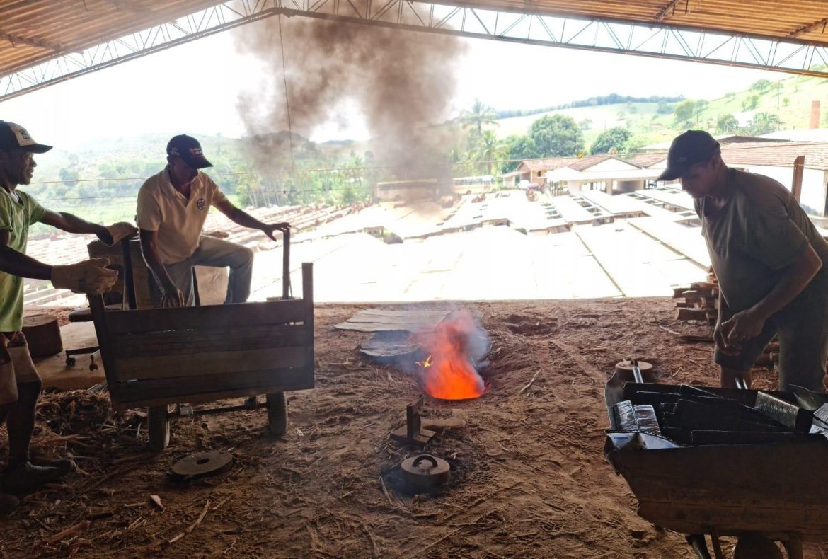 mais-de-meia-tonelada-de-droga-apreendida-apos-perseguicao-policial-a-caminhao-e-incinerada-em-mg