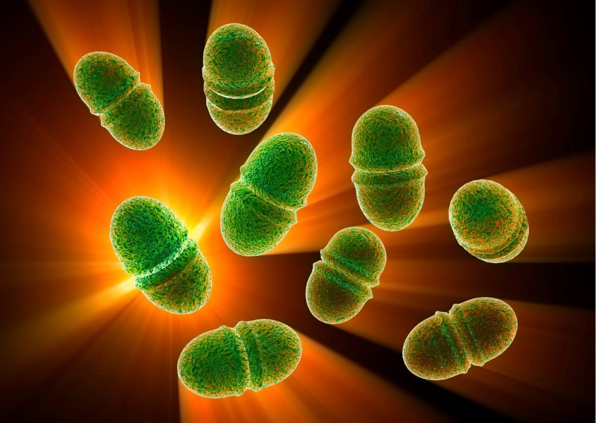 proliferacao-de-superbacterias-ameaca-humanidade