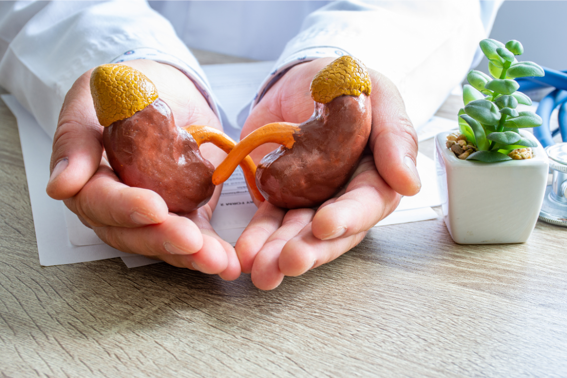 mantenha-seus-rins-saudaveis-com-estes-10-habitos-essenciais