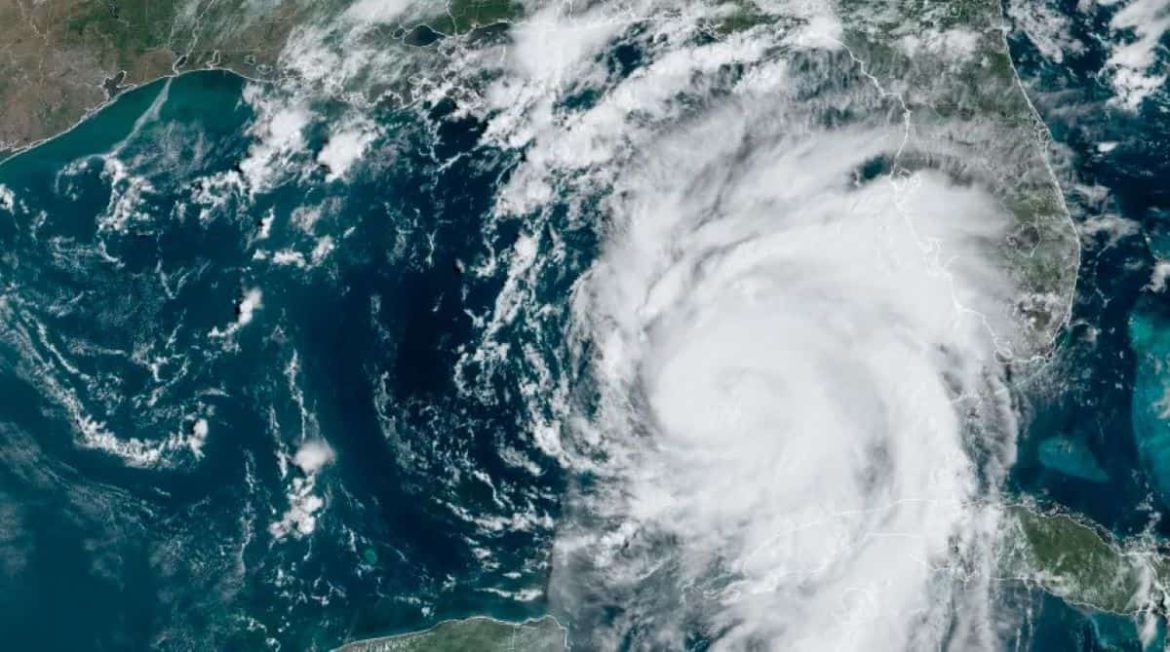 nao-so-a-vida-terrestre-e-afetada-por-furacoes:-vida-marinha-tambem-sofre-efeitos-devastadores