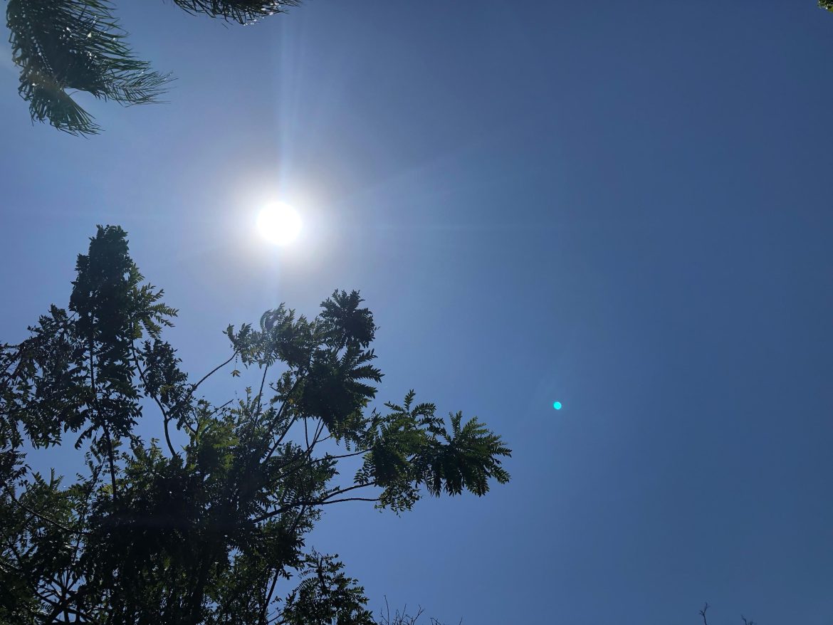 campinas-bate-34 °c-e-entra-em-estado-de-atencao;-saiba-como-evitar-insolacao