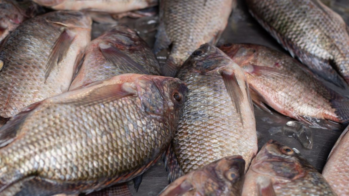 doenca-de-haff:-o-que-e,-quais-as-causas-e-sintomas?