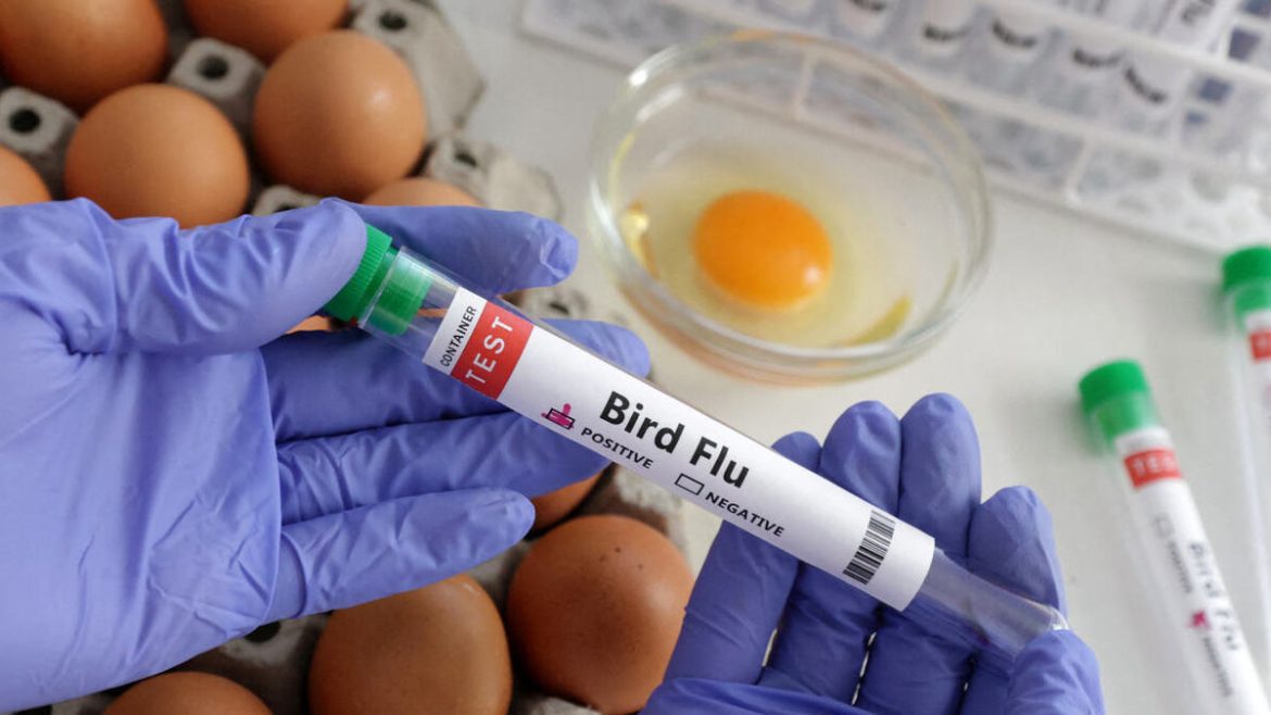 enem-2023:-questoes-de-biologia-e-quimica-podem-ser-resolvidas-so-com-interpretacao-de-texto