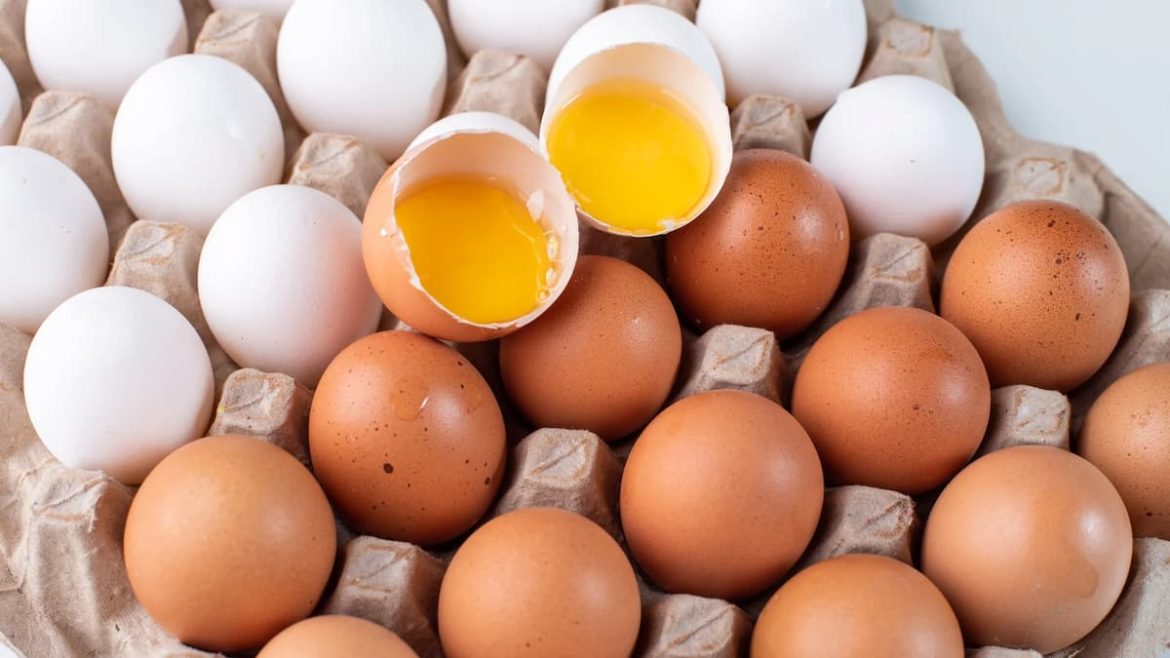 omelete-ou-ovo-cozido:-qual-opcao-e-mais-nutritiva?
