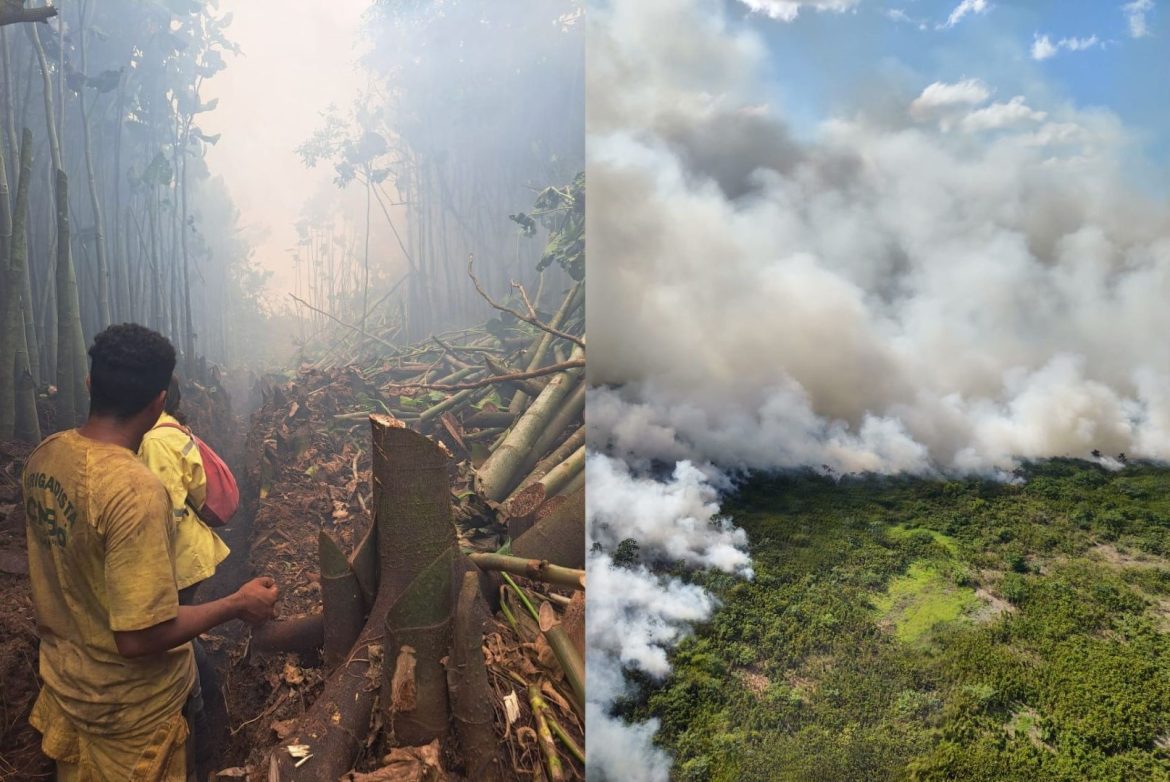 incendio-esta-incontrolavel-na-reserva-biologica-do-lago-piratuba-no-amapa,-diz-ibama
