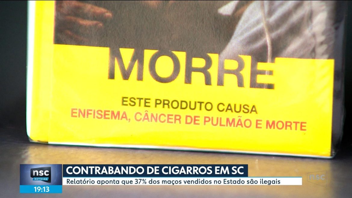 este-produto-pode-levar-a-morte:-o-contrabando-de-cigarros-e-vapes-em-santa-catarina