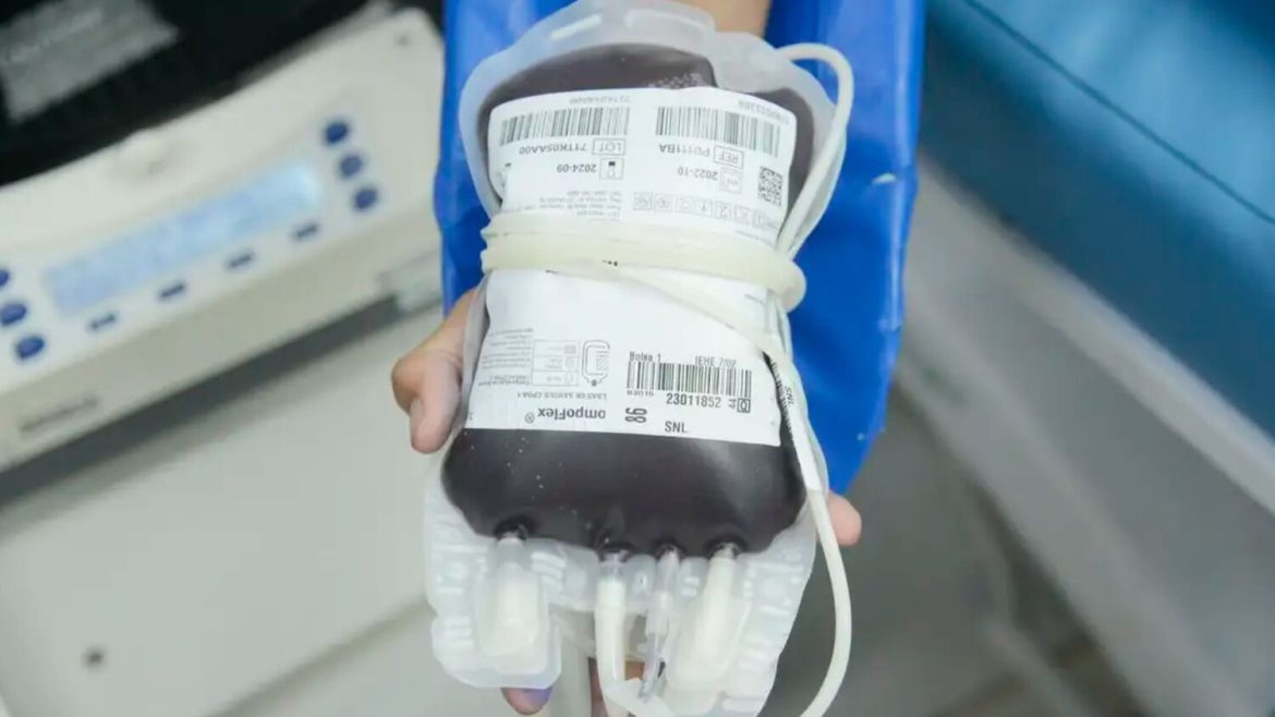 novo-aplicativo-promete-facilitar-doacao-de-sangue-no-brasil