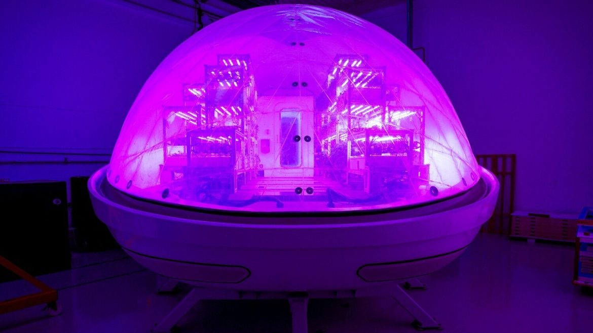 laboratorio-revela-tecnologia-para-cultivar-plantas-em-marte-e-em-qualquer-clima-da-terra