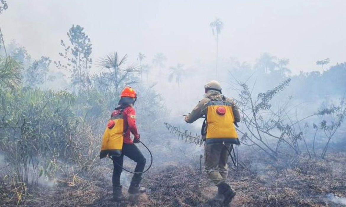 apenas-11-cidades-do-amazonas-tem-unidades-do-corpo-de-bombeiros
