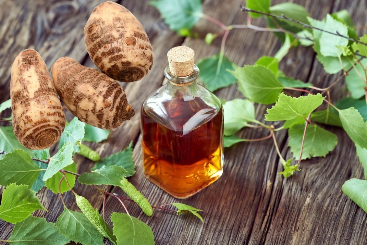 elixir-de-inhame:-conheca-os-beneficios,-para-que-serve-e-como-tomar