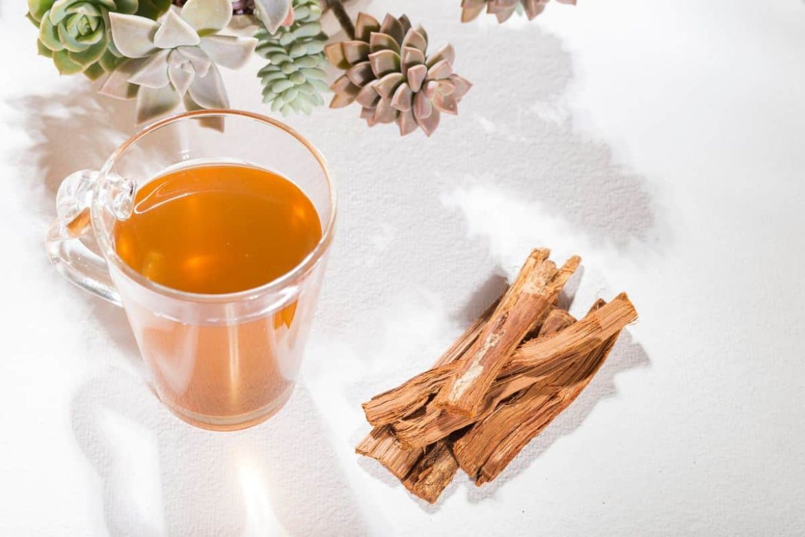 cha-de-umburana-para-o-estomago:-beneficios-e-uso-correto