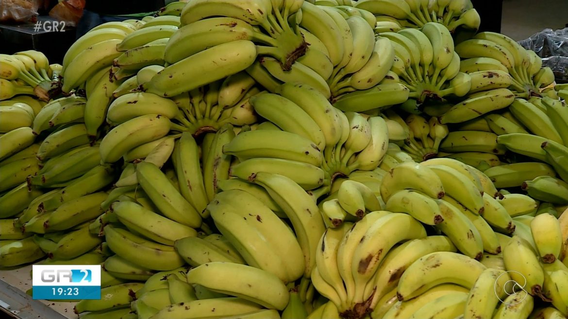 videos:-gr2-de-sabado,-16-de-dezembro