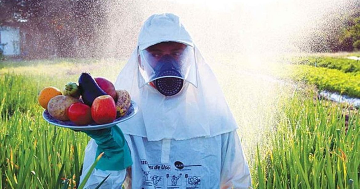 alerta-vermelho:-25%-dos-vegetais-tem-agrotoxicos-acima-do-permitido,-diz-anvisa