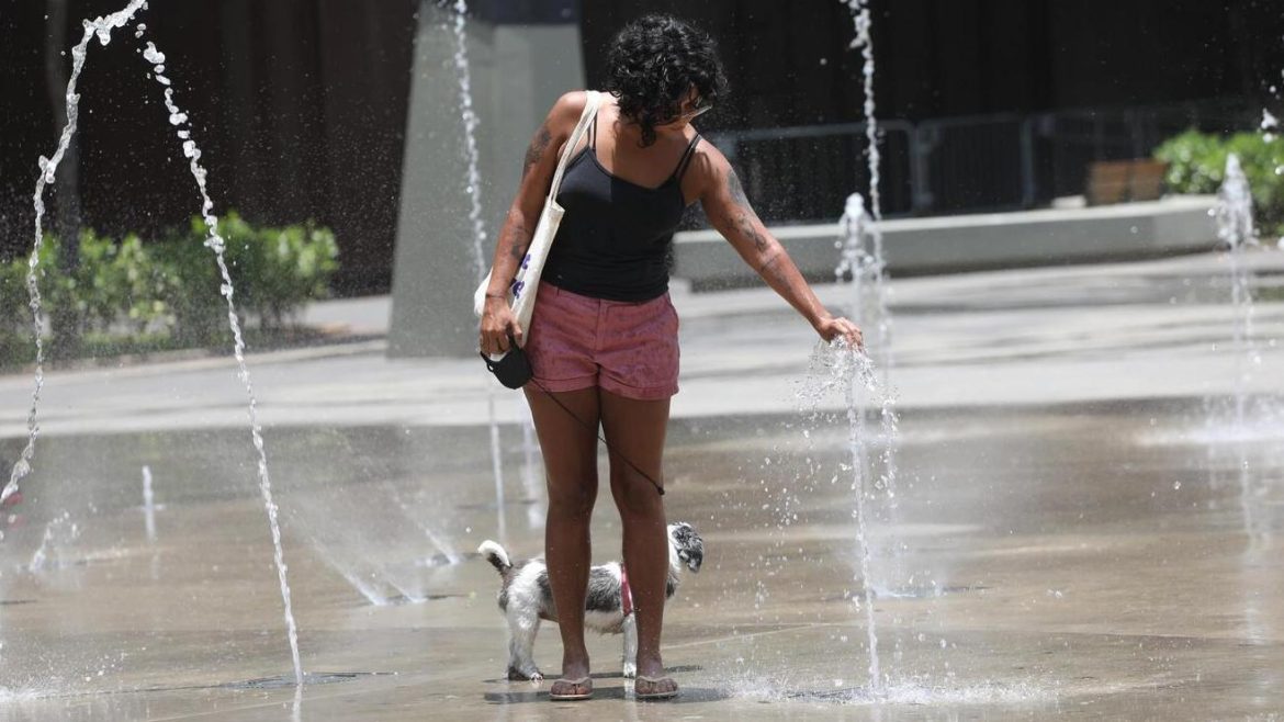 saiba-o-que-sao-as-ondas-de-calor-e-como-elas-podem-impactar-o-verao-de-2024