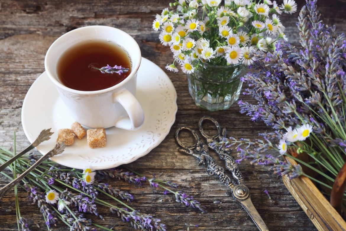 cha-de-alfazema-com-camomila-acalma-e-faz-bem;-conheca-os-beneficios