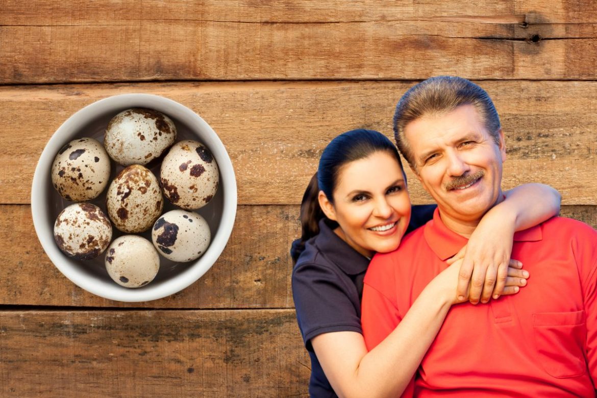 ovo-de-codorna-e-afrodisiaco?-descubra-seus-beneficios,-maleficios-e-consumo-seguro