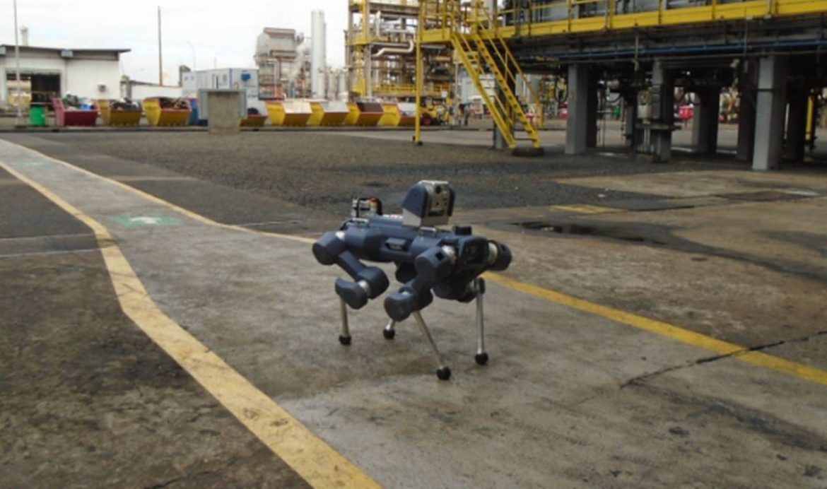 robo-com-cara-de-cachorro:-babyalpha-e-um-cao-robo-muito-fofo