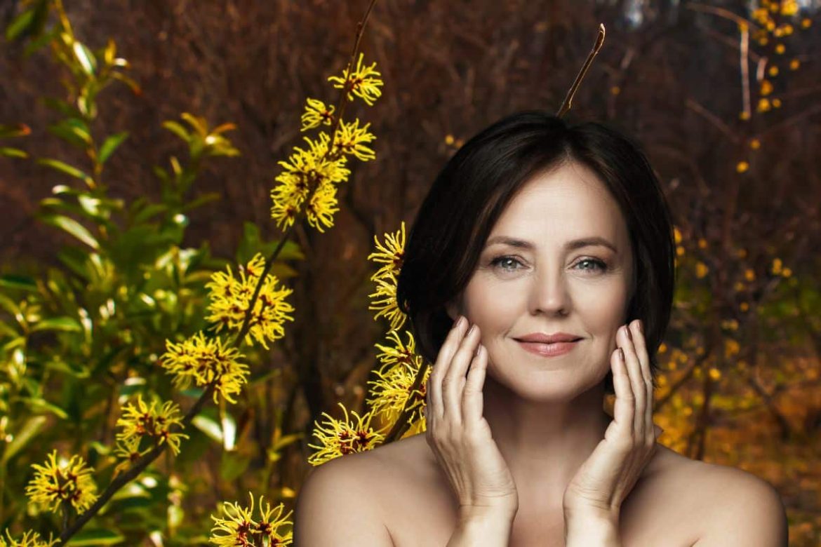 hamamelis:-saiba-para-que-serve,-como-usar-e-contraindicacoes