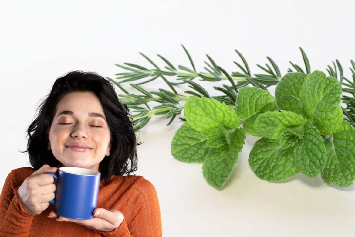 cha-de-hortela-com-alecrim:-conheca-os-beneficios-dessa-combinacao