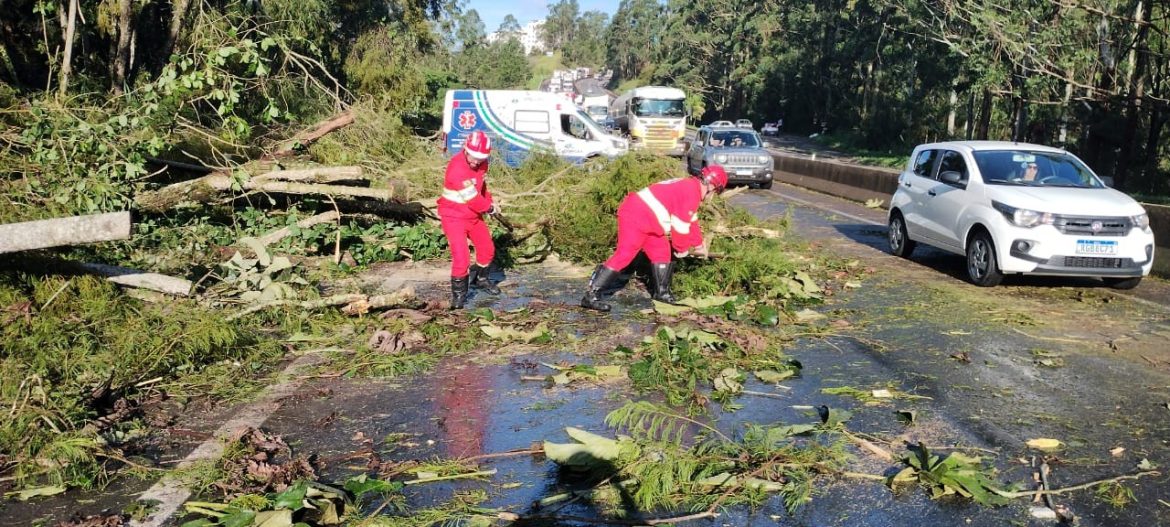 queda-de-arvores-interditada-trecho-da-br-040-em-juiz-de-fora
