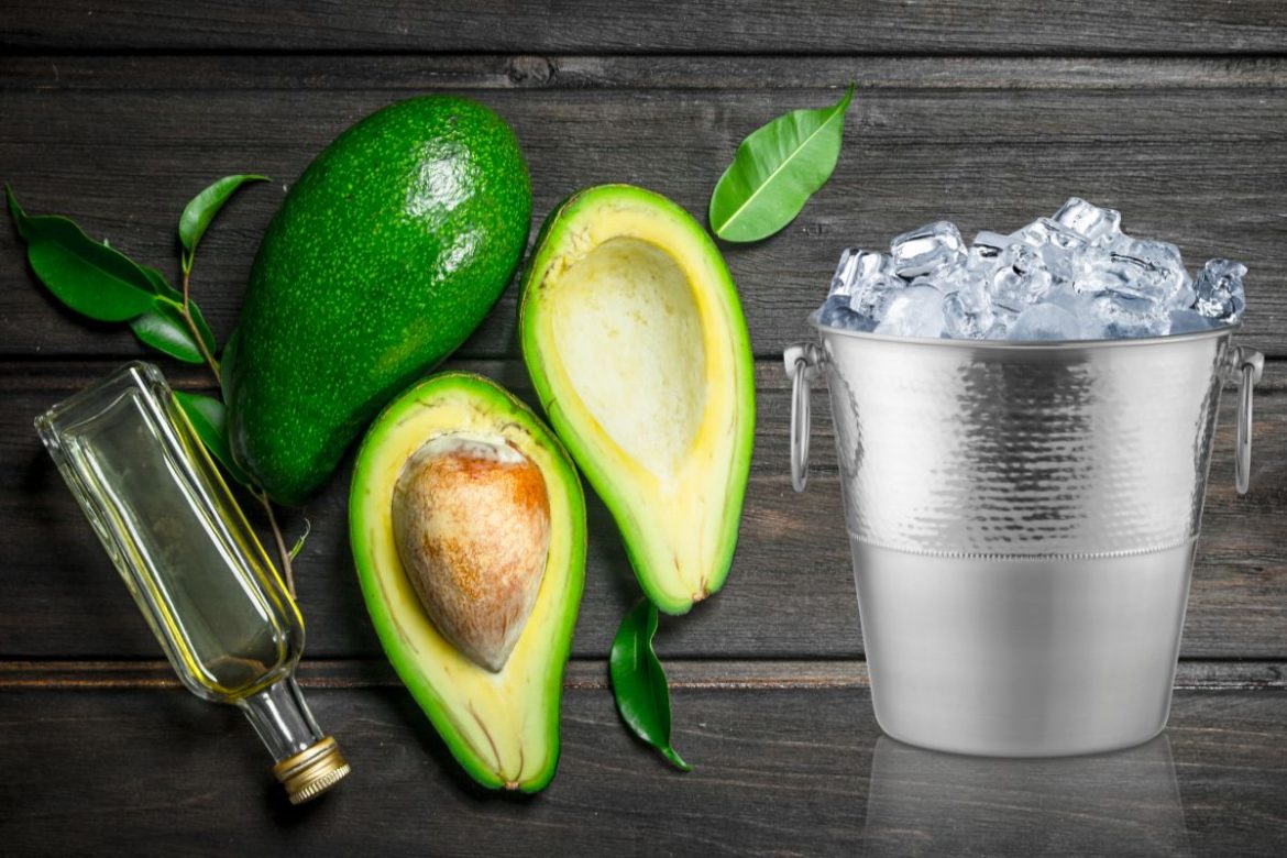 da-para-congelar-o-abacate-sem-amargar?-descubra-como-conservar-a-fruta