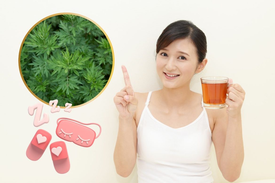 cha-de-artemisia-antes-de-dormir:-beneficios,-preparo-e-cuidados-essenciais