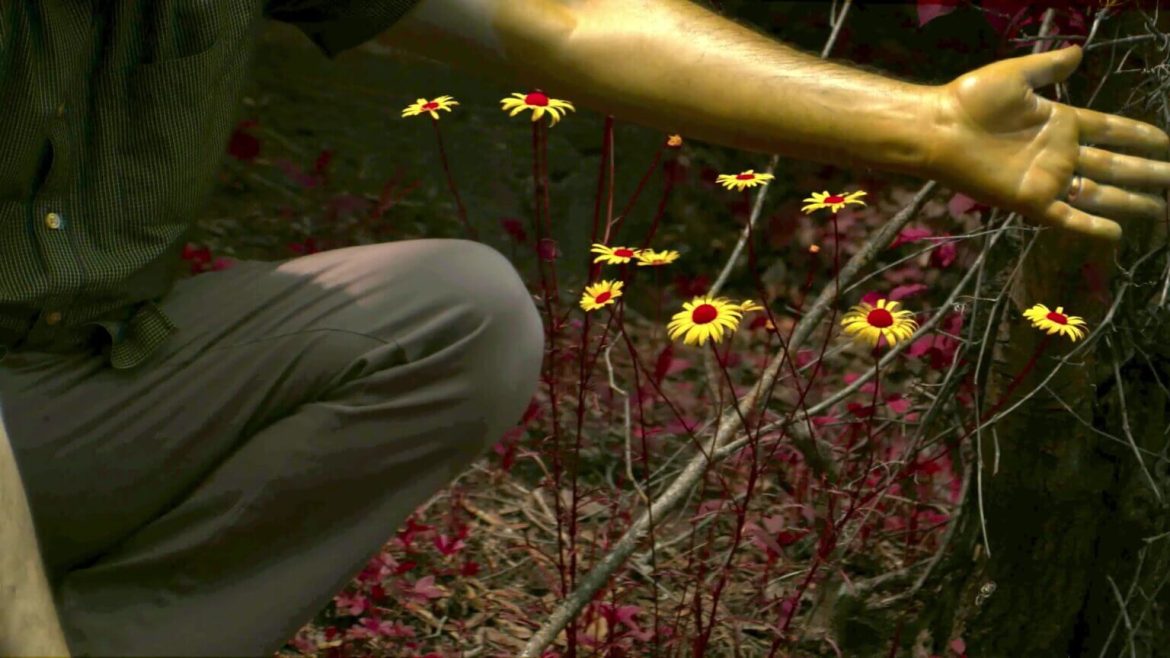 do-ultravioleta-ao-infravermelho:-confira-as-cores-que-os-animais-veem,-mas-nos-nao