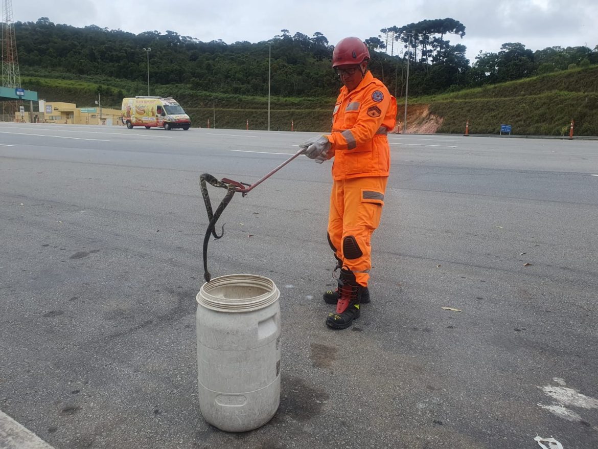 jararaca-de-1,5-metro-e-encontrada-atras-de-cabine-de-pedagio-da-br-040