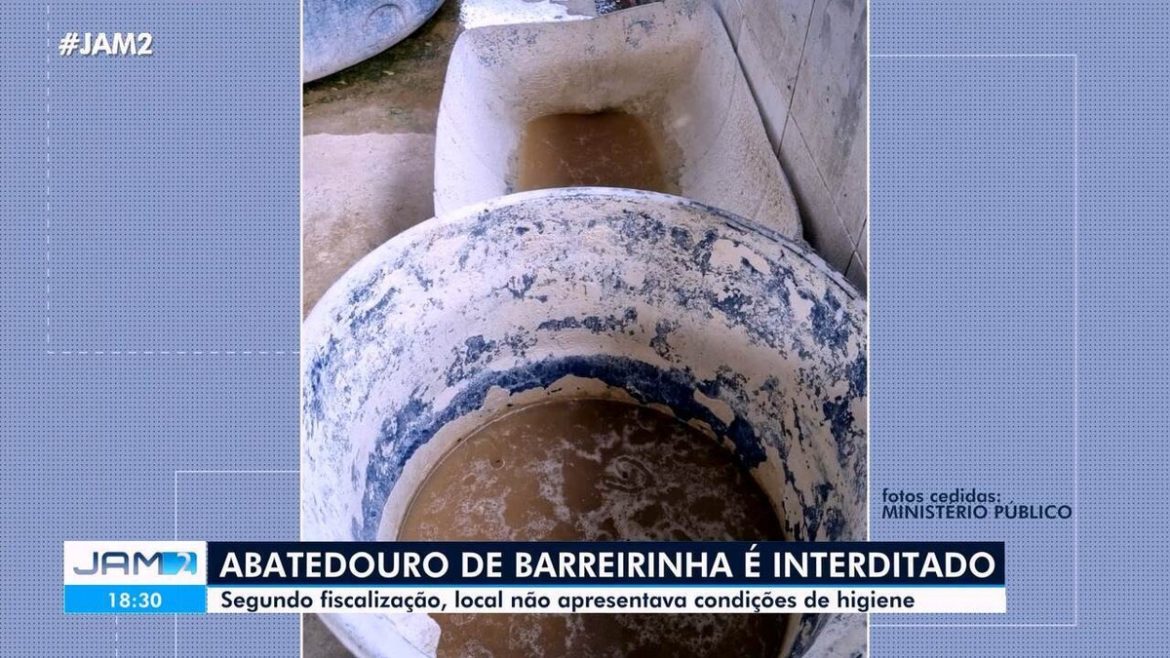 abatedouro-e-interditado-por-irregularidades-no-interior-do-am