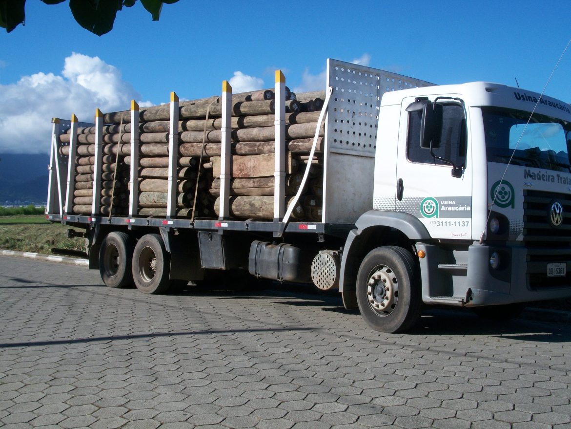 melhores-madeiras-da-regiao?-o-que-voce-precisa-saber-sobre-a-usina-araucaria
