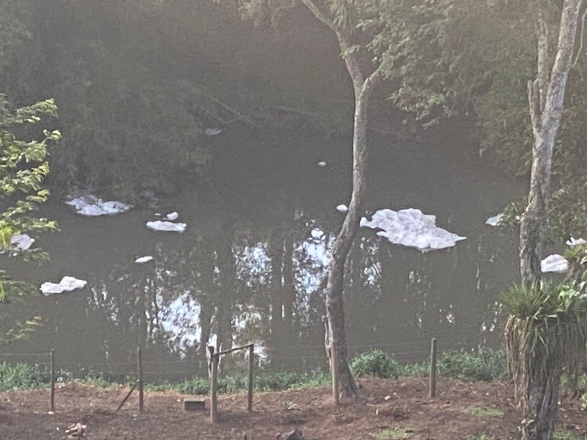 video:-blocos-de-espuma-sao-vistos-flutuando-no-rio-paraibuna,-em-juiz-de-fora