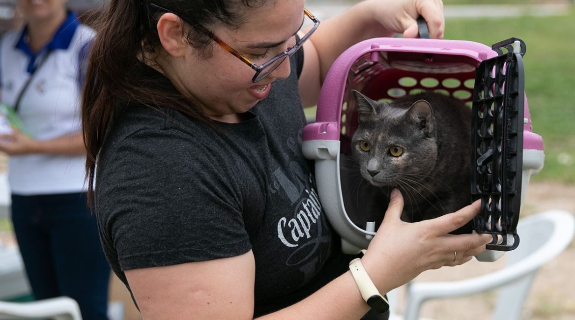 macae-garante-servicos-gratuitos-aos-pets